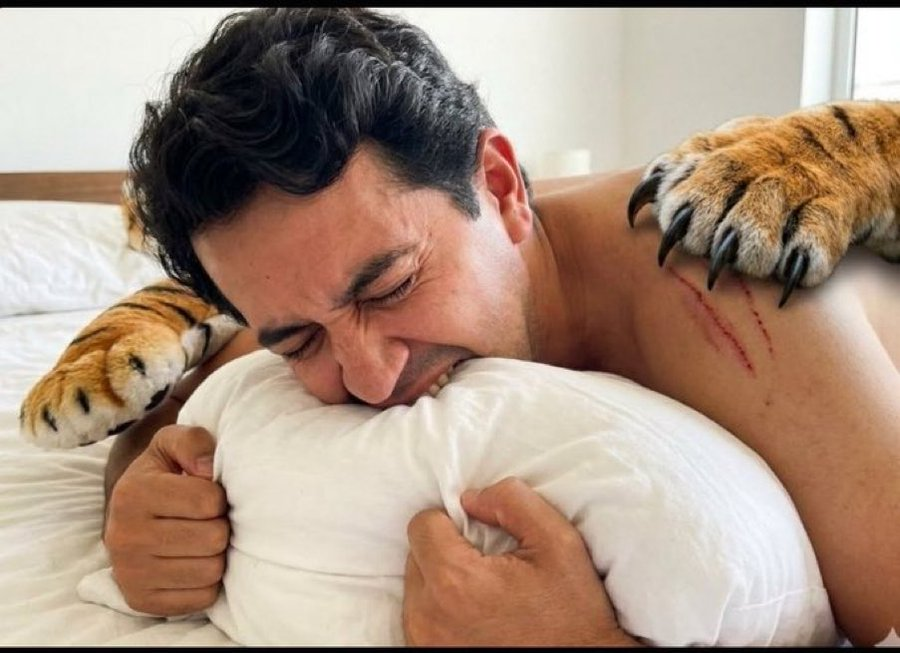 Matador000's tweet photo. ¿Oye @grok esta foto es real? 

¿Podrías determinar si esa almohada aparece registrada en el SECOP?

¿Averigua en la base de datos de la DIAN el documento de importación y la estrada al país de ese tigre? https://t.co/L2j8WmTxSg
