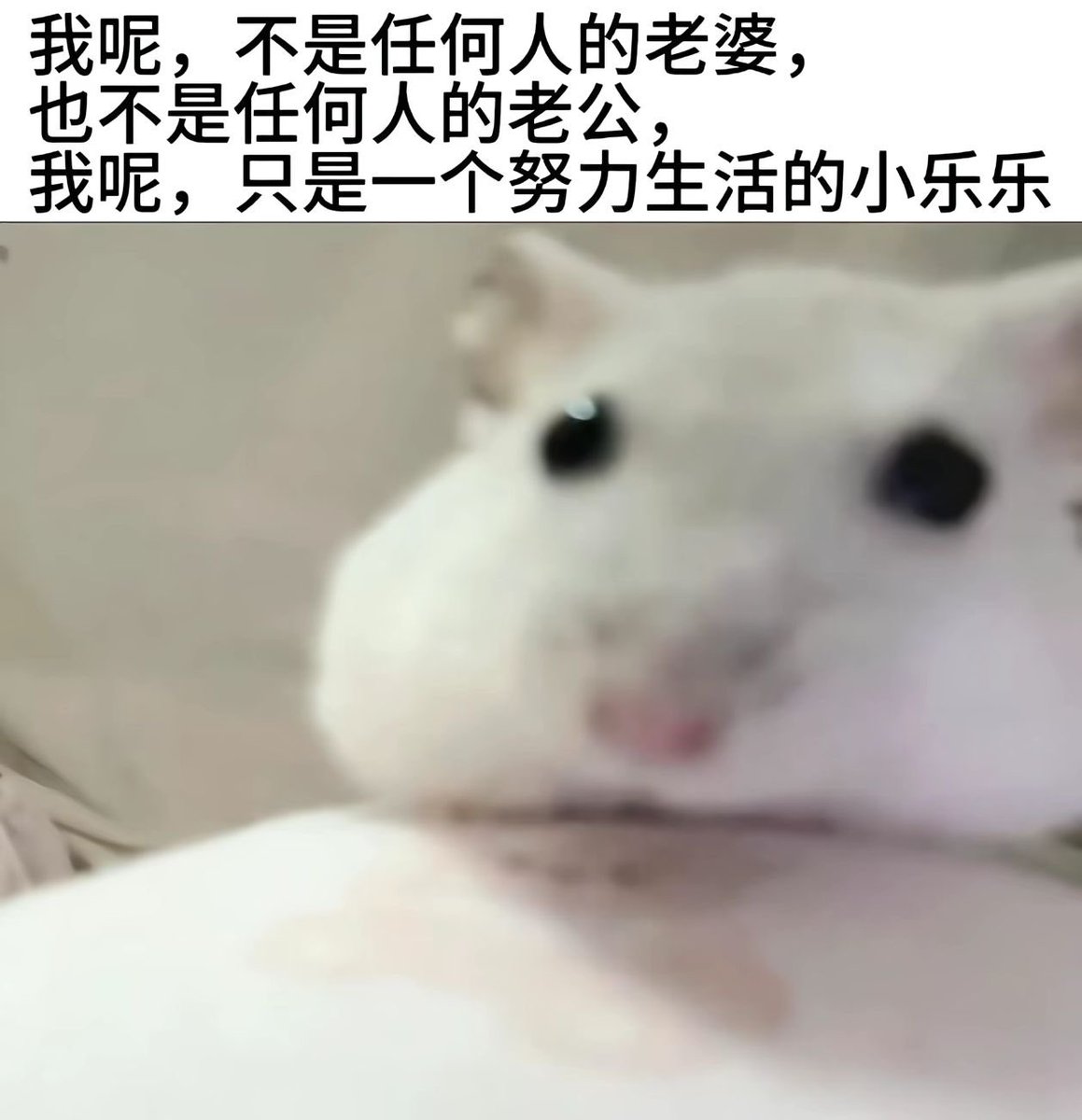 MimiTvTouo's tweet photo. 真想随便找个玩马超和镜的嫁了 https://t.co/kCk0AsSHMi