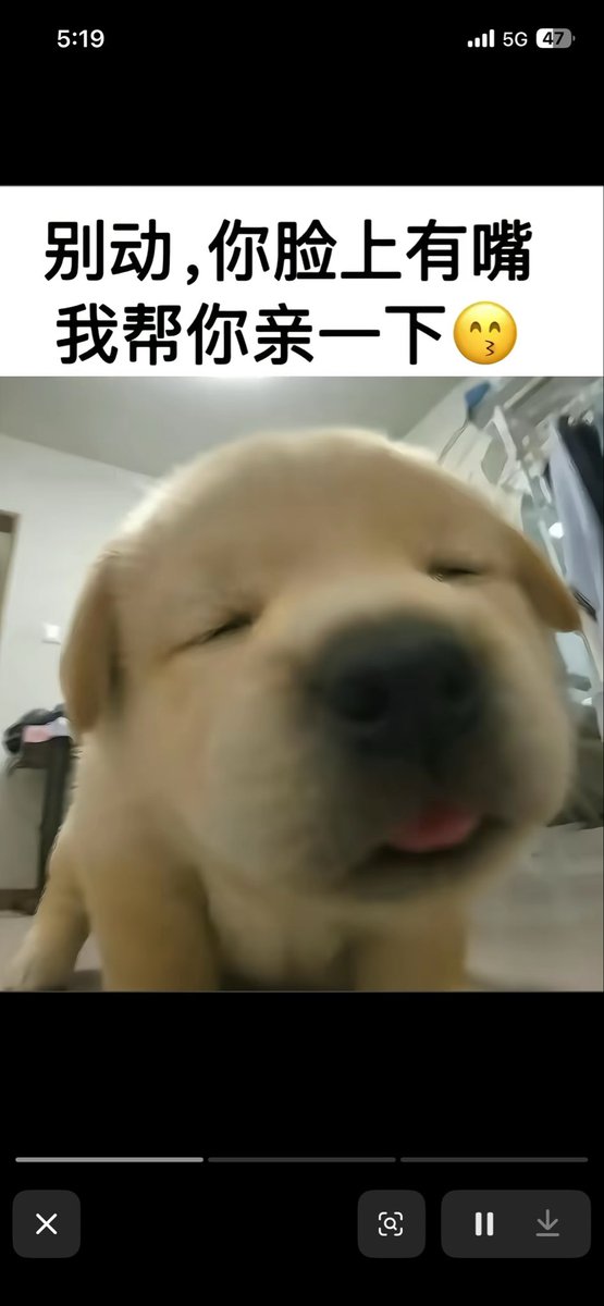 Sunlightm1pt's tweet photo. https://t.co/LddCTqaryk