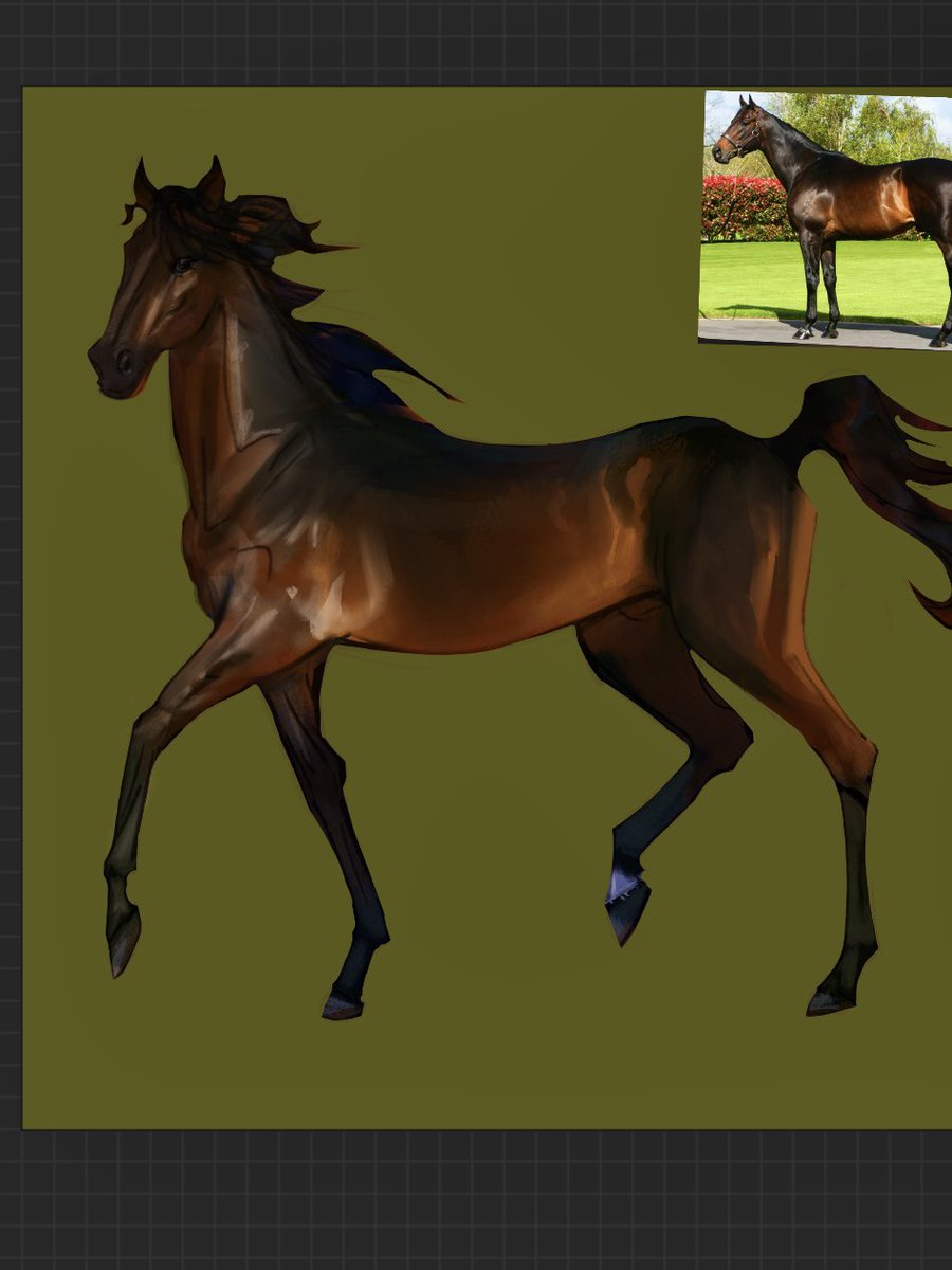 altioraem's tweet photo. horse https://t.co/vLIXaAObSH