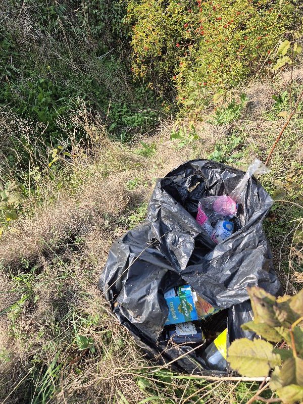BBullrushes's tweet photo. We could have had a party today!  Unopened chocolate bars, bags of crisps &amp; then we spotted a bag thrown into a ditch. Surprisingly heavy, we spotted broken glass so opened the bag carefully to find a broken vodka bottle &amp; plastic cups &amp; these bottles. 🥳🍾#NotABin https://t.co/H9FNAo46O8
