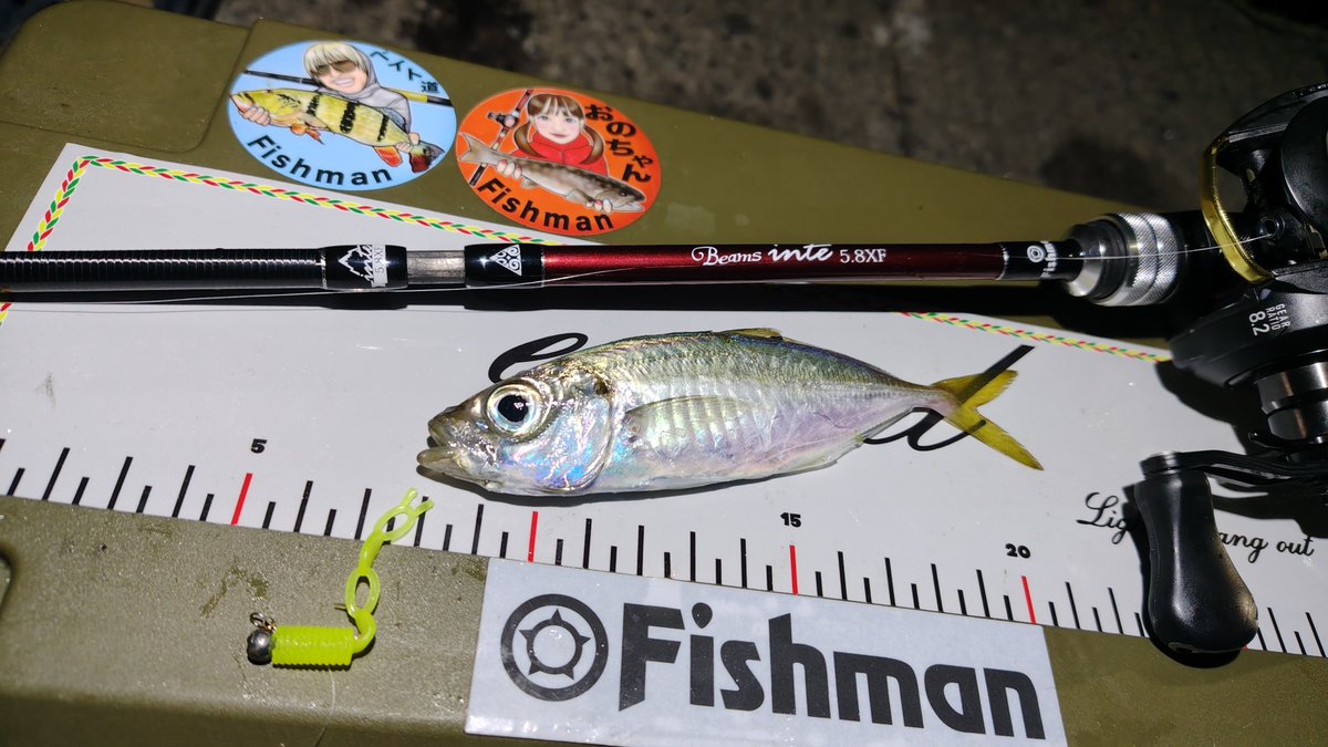 mathuo_banana's tweet photo. いかちゃんどこいったん?
豆アジングでとりあえず気を紛らわす。
#Fishman
#インテ58XF
#exceed https://t.co/v8gkGGwJj5