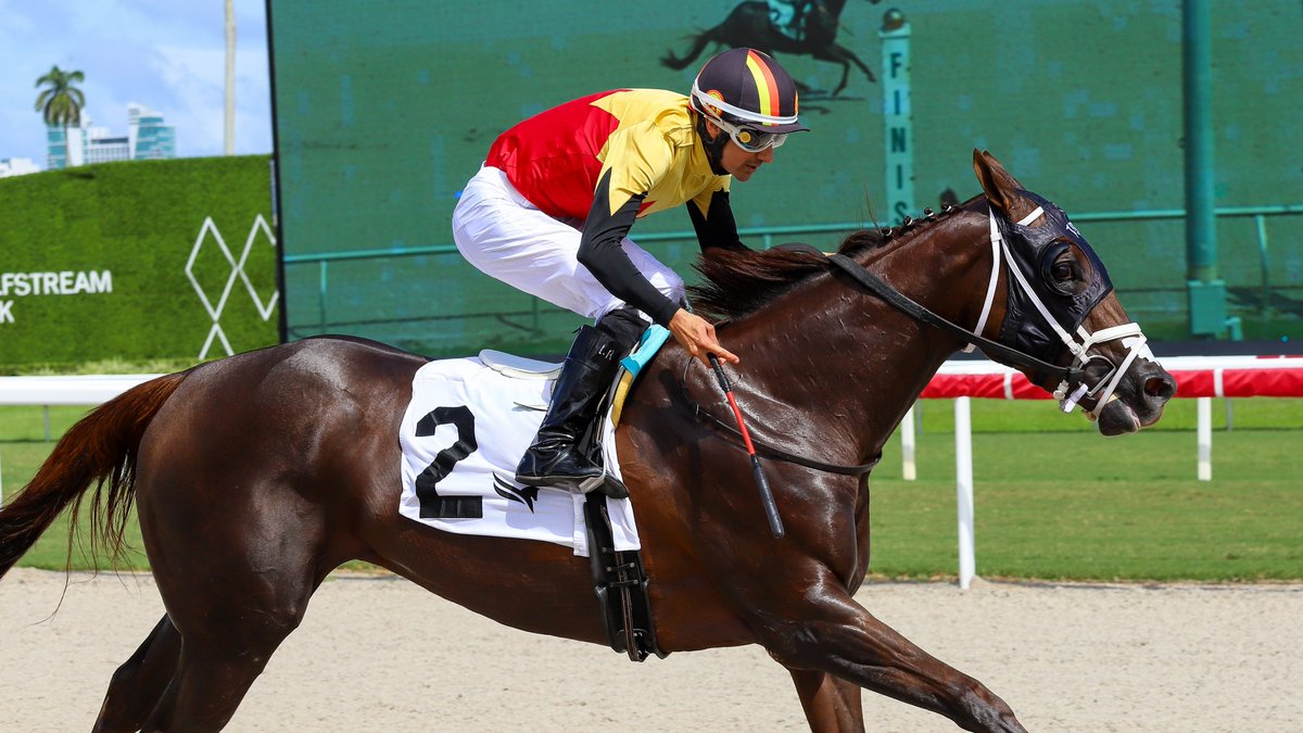 GulfstreamPark's tweet photo. Eileen's a Warrior pulls away in the final stretch to deliver in race 5, @LeojockeyReyes in the stirrups for trainer Carlos David, owner Gokmen Kaya, and breeder Shooting Star Thoroughbreds. #GulfstreamPark #SunshineMeet https://t.co/pmG0iO0R1z