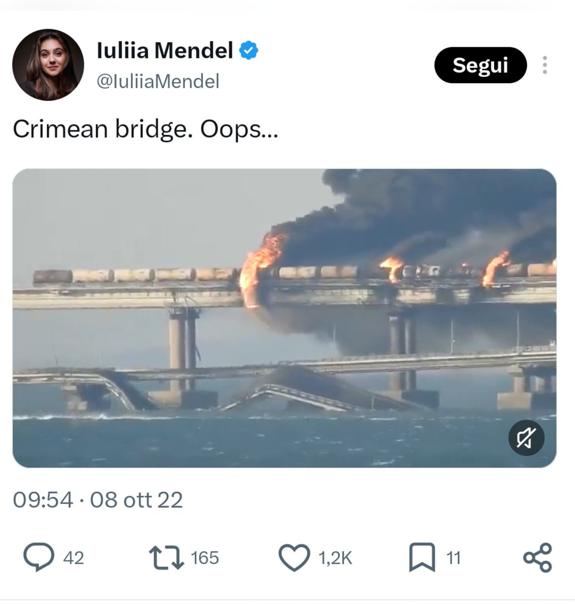 MelgerTina's tweet photo. 4 anni fa non ti dispiaceva tanto quando a bombardare i ponti della Crimea era il tuo presidente cocainomane. https://t.co/kASY6nZiFz