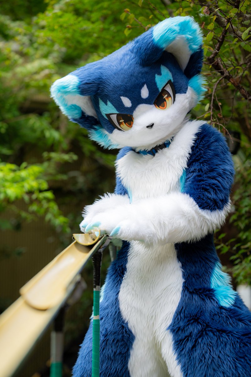 mofu91310711's tweet photo. #けもあふ
#FursuitEveryday
いくよ〜？？？🍜🍜🍜 https://t.co/0cSQLh5bAQ