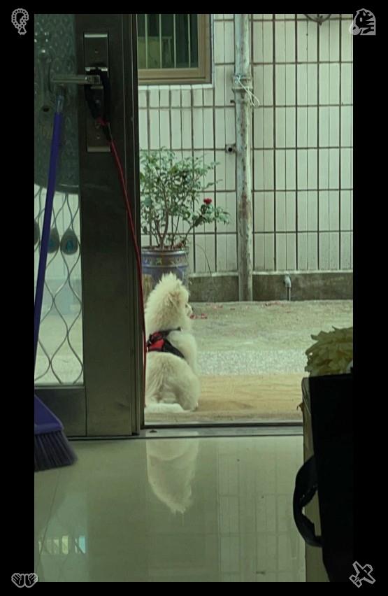 choiscoupscheol's tweet photo. 🦅Production line worker: knowledge, experience, the pursuit of better results!792162Holiday cleaning Ready, waiting for guests https://t.co/hWa6IkAT4L