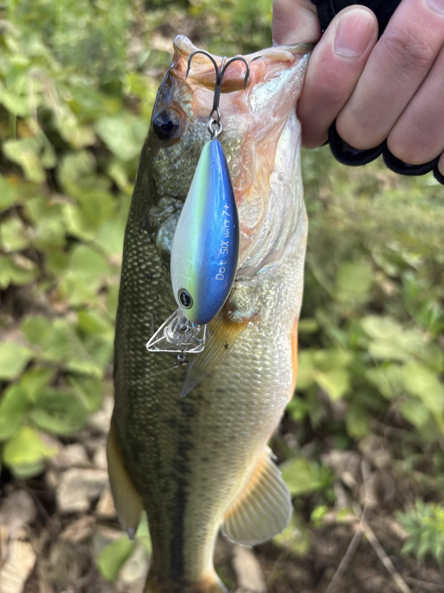 BUTZ (@BUTZbassfishing) / X