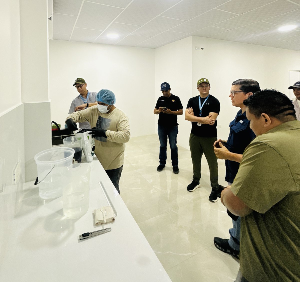 AgrobanEC's tweet photo. 🔬🌱 En el laboratorio de #LosChirijos ya producimos Trichodermas de alta pureza: un escudo biológico que protege los suelos bananeros frente a patógenos severos y nos permite eliminar el uso de agrotóxicos peligrosos. #ProyectoFARM @PNUDEcuador @theGEF @EcuadorMAE @AgriculturaEc https://t.co/4vI5Mffdu2