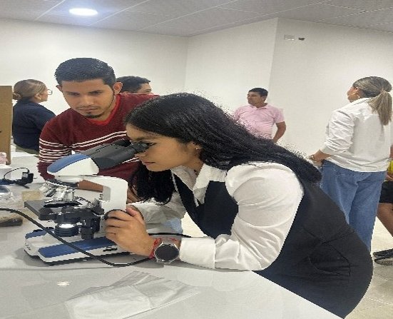 AgrobanEC's tweet photo. 🔬🌱 En el laboratorio de #LosChirijos ya producimos Trichodermas de alta pureza: un escudo biológico que protege los suelos bananeros frente a patógenos severos y nos permite eliminar el uso de agrotóxicos peligrosos. #ProyectoFARM @PNUDEcuador @theGEF @EcuadorMAE @AgriculturaEc https://t.co/4vI5Mffdu2