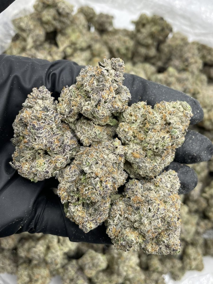 RareLeaf420's tweet photo. +1 (213) 890-7863
Give a name to this 👽
#prerolls #cannabis #cbo #cannabiscommunity #hemp #weedstagram #weed #thc #indica #delta #cannabisculture #edibles #sativa #joints #blunts #marijuana #smoke https://t.co/VOfanFS2o0