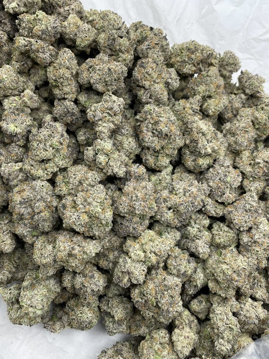 RareLeaf420's tweet photo. +1 (213) 890-7863
Give a name to this 👽
#prerolls #cannabis #cbo #cannabiscommunity #hemp #weedstagram #weed #thc #indica #delta #cannabisculture #edibles #sativa #joints #blunts #marijuana #smoke https://t.co/VOfanFS2o0