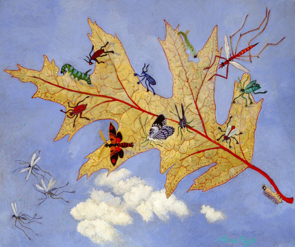 marysia_cc's tweet photo. Anna Pugh
Autumn Leaf, 2009 https://t.co/74ryoF3JyD