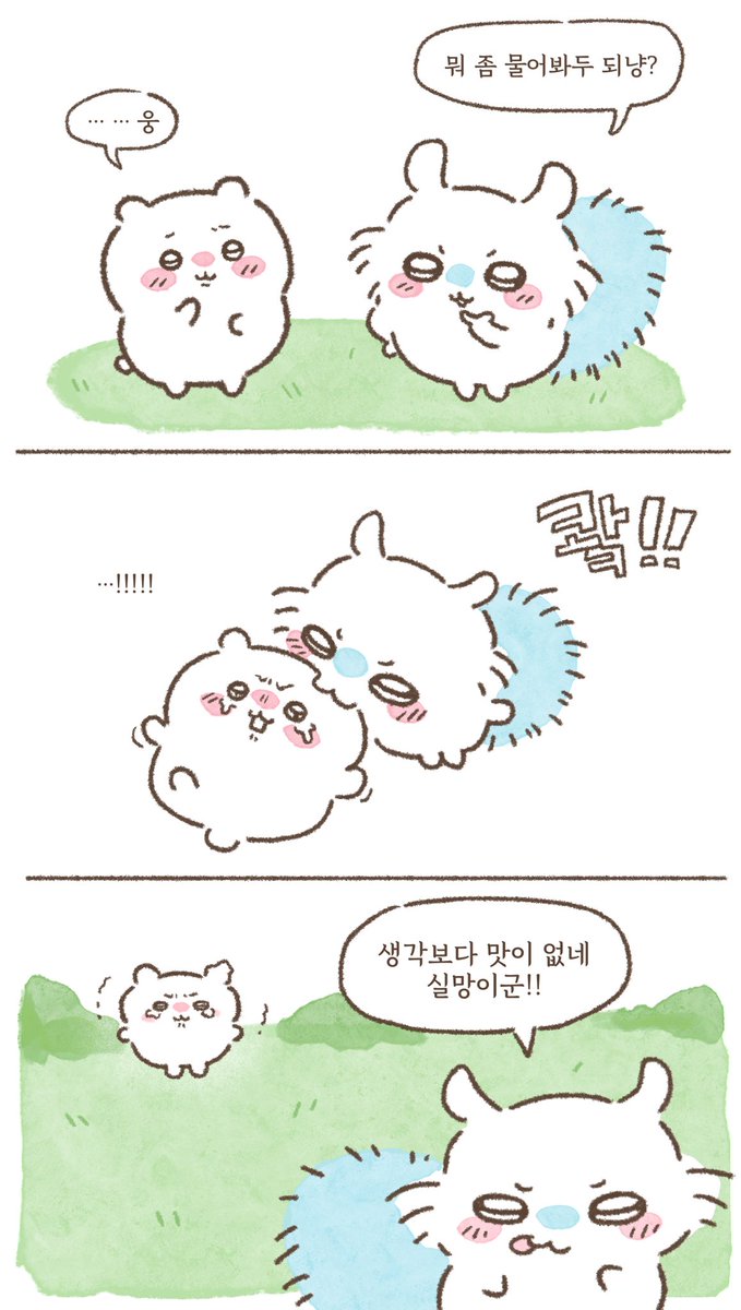 ZM_4B's tweet photo. 물어볼 게 있어  #ちいかわ https://t.co/57SYHHNbbb
