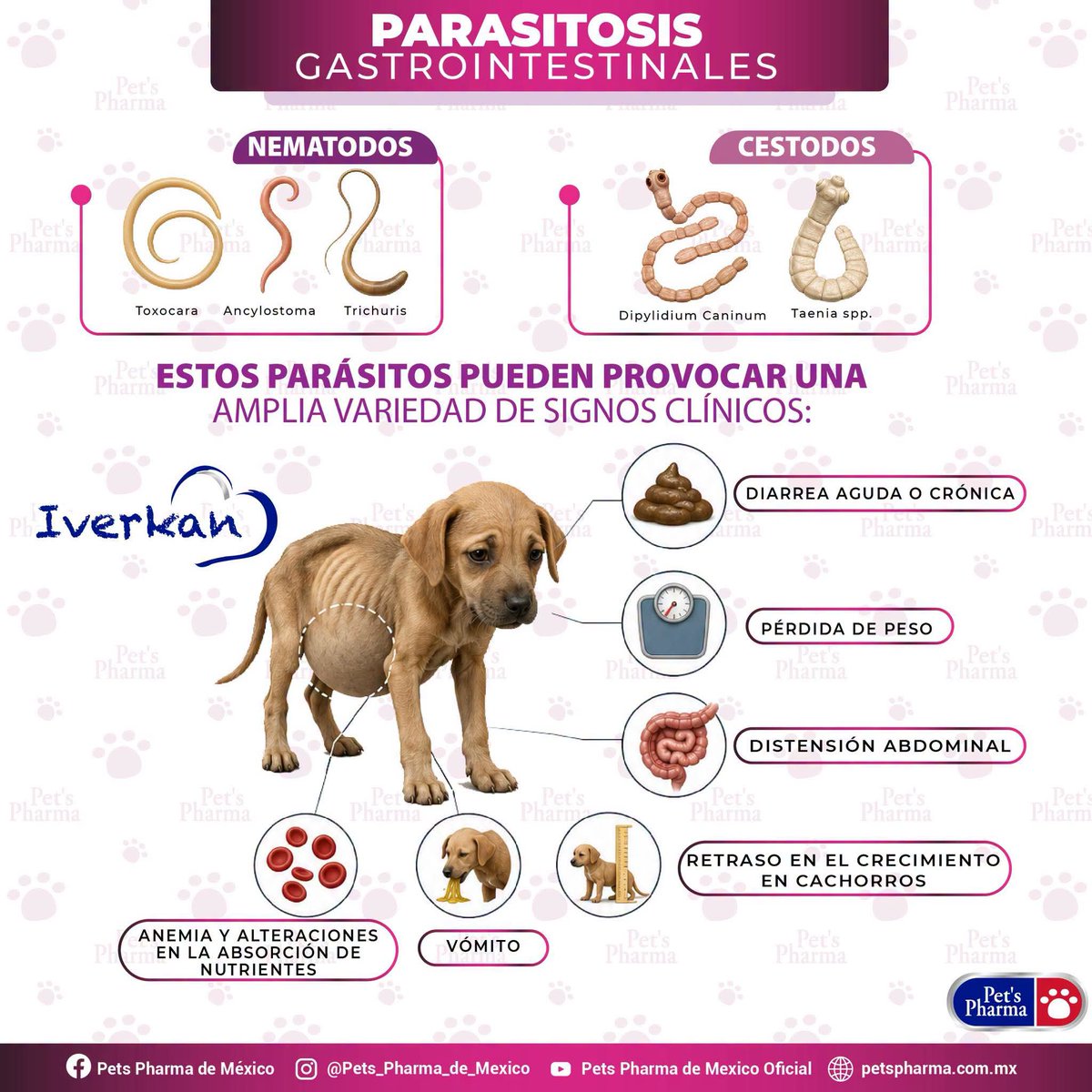 Oddlckx's tweet photo. @Conia21 @Vaneortiz_g @rikanipaa Tampoco se inflama? Vaya pedazo de pendejo https://t.co/PdvJcjc38m