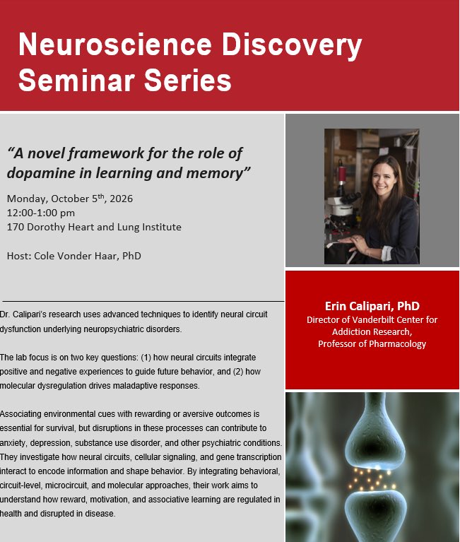 OSUNeuroscience's tweet photo. 🧠 Join us Monday, October 5, as we welcome Erin Calipari, PhD, to our Neuroscience Discovery Seminar Series! She’ll present “A novel framework for the role of doapmine in learning and memory”
We’re excited to have her join us! We hope to see you there! #Neuroscience #NDSS https://t.co/SR3mCC7NAw