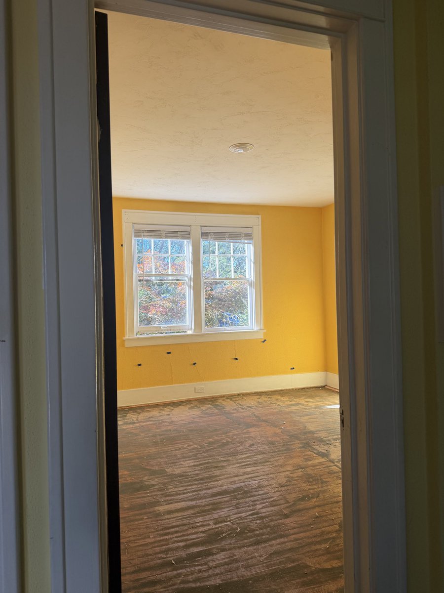 elliothallett's tweet photo. @FloydDetroit 2nd floor and landing carpet removed. All carpet/trash picked up. https://t.co/Fr8XPbhO30