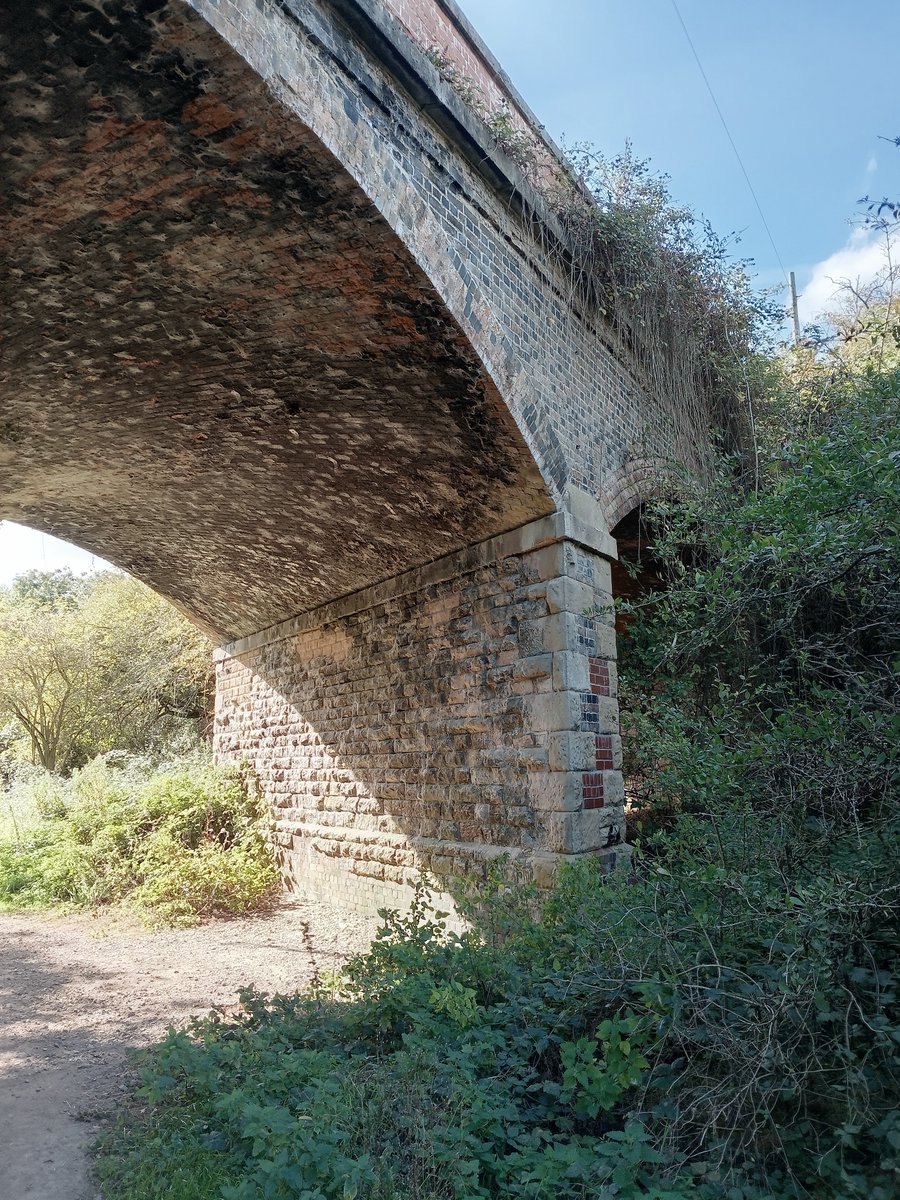 phil0073's tweet photo. Under an old overline bridge near #Ringstead on the former #NeneValleyRailway aka #NorthamptonAndPeterboroughRailway line ran by
#LNWR . Now a #Greenway.#Northamptonshire
#PhilOnaBike #WeekendWander #FootpathFriday #StoneworkSunday https://t.co/wD3CYs6wh2