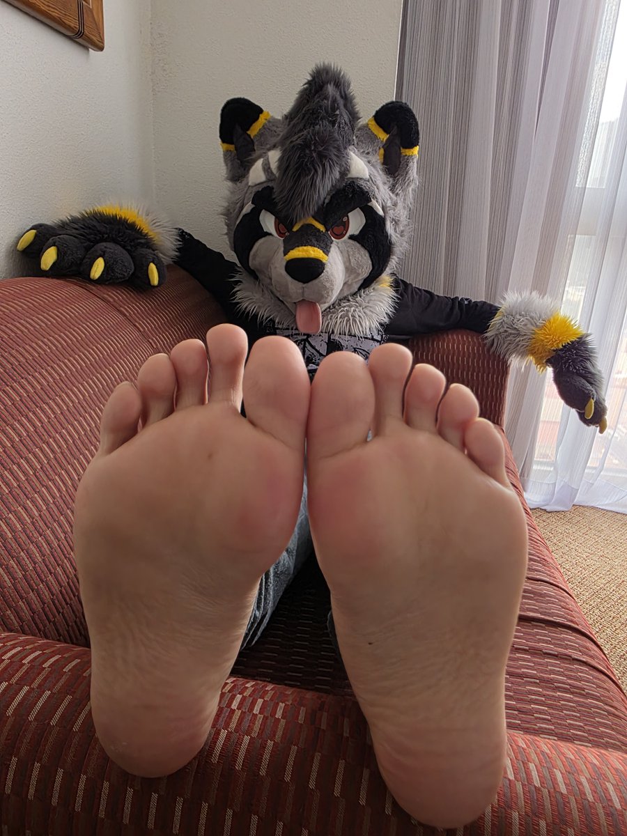 Reikkoon's tweet photo. Just relaxing… why are you staring at my paws though? 👀 https://t.co/O84RkOtRv6