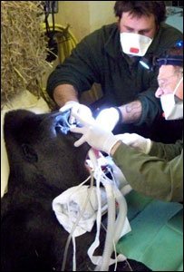 edruada's tweet photo. o dia ta tao infernal aqui no trabalho que meu dente até parou de doer https://t.co/RSG3T4Nn1r