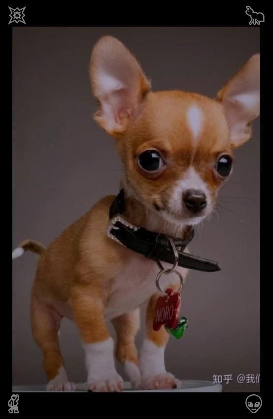 ardy_raynard tweet picture
