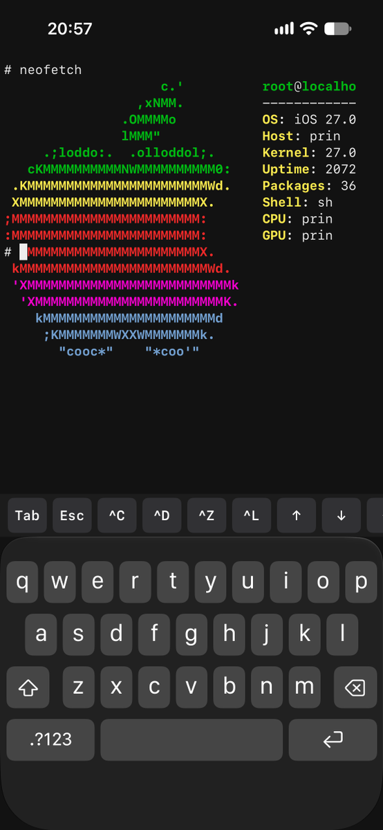 cantstopnyxia's tweet photo. neofetch works now, turns out the Bash thing not working was actually a main called without envp problem... https://t.co/xwvzIvBN56