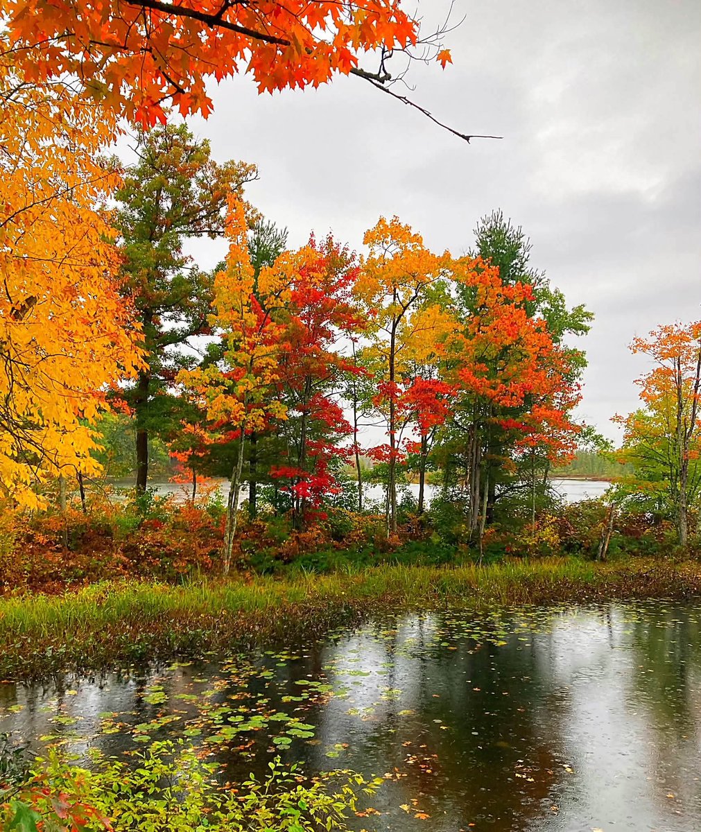 TammRock1's tweet photo. Always pretty this time of year ❤️ @JustinTGee https://t.co/6H7NftpUri