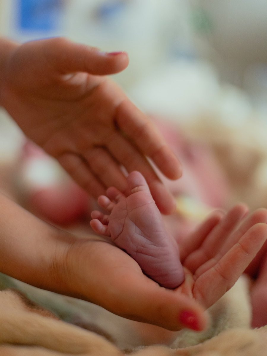 FalaramNet's tweet photo. LINDAS! Mari Fernandez e Júlia Ribeiro anunciaram o nascimento da primeira filha 

“Nosso maior presente chegou! Isabela, 01/10/2026, 13h22” https://t.co/oAZxfUOl2X