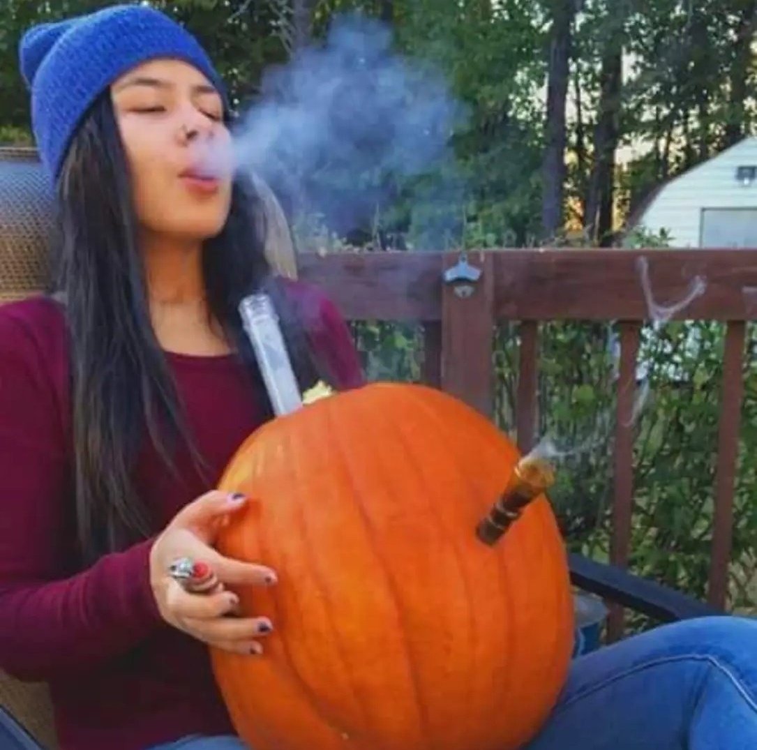 FinalDude78's tweet photo. smokin on that gourd shit all October https://t.co/Cz04gXuvLj