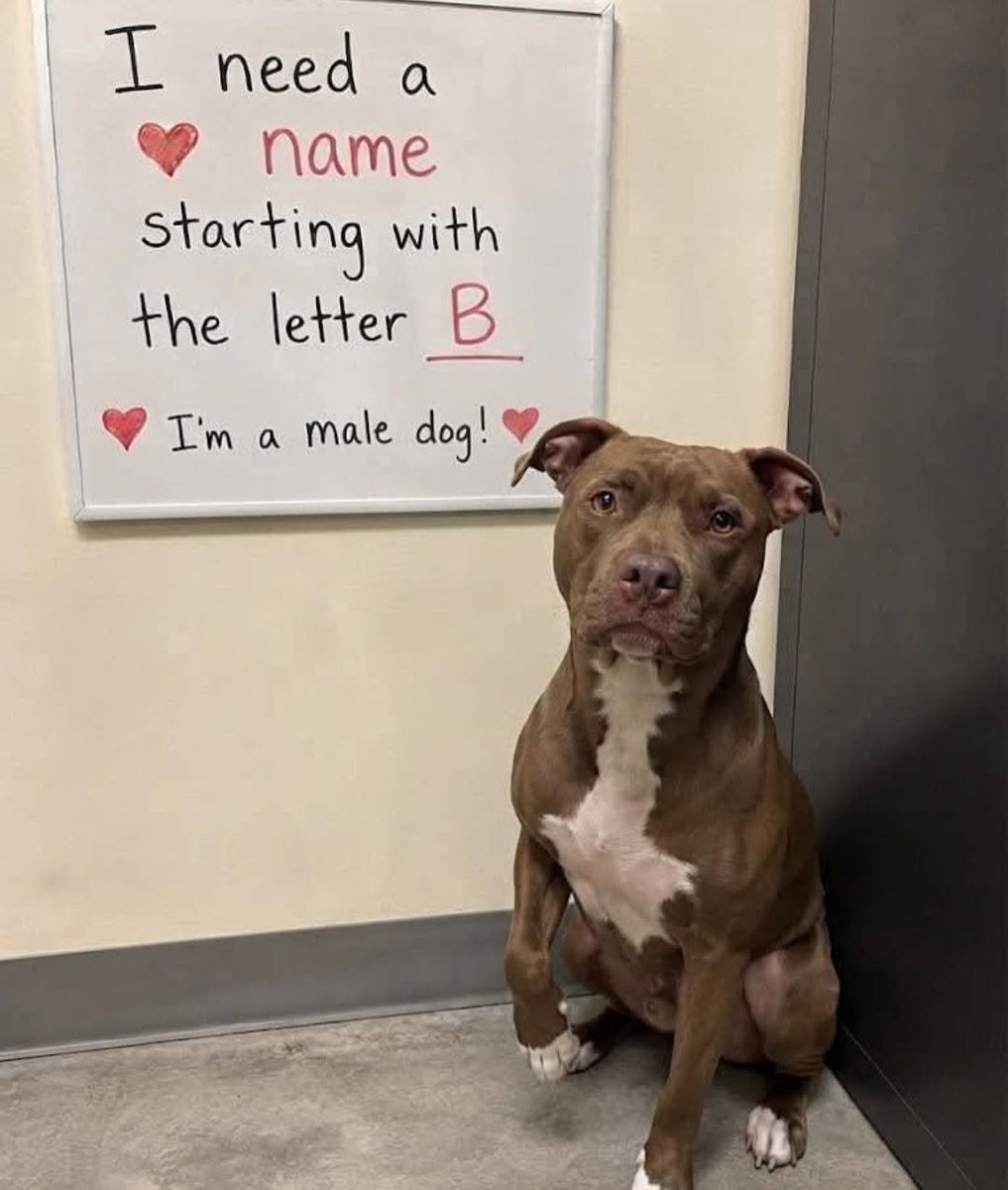Claire_ennet's tweet photo. We need names!!!! https://t.co/JBaJzv6GAo