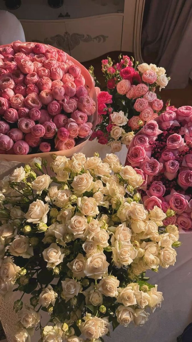 Flowersidmb's tweet photo. https://t.co/JSwKUBcpNb