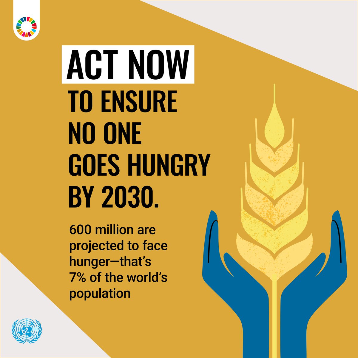 UNGeneva's tweet photo. By 2030, no one should go hungry. Yet, 600 million people—7% of the world—are still projected to face food insecurity. #ActNow to scale up our efforts. 🥘

https://t.co/qc0zLp58wl
#GlobalGoals #ZeroHunger https://t.co/JHVgFBcGIY