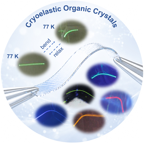 CCSChemistry's tweet photo. Cryoelastic Organic Crystals https://t.co/1sUlYV5srd 

#chemistry #openaccess #science #chemtwitter https://t.co/AYTdD6MXCA