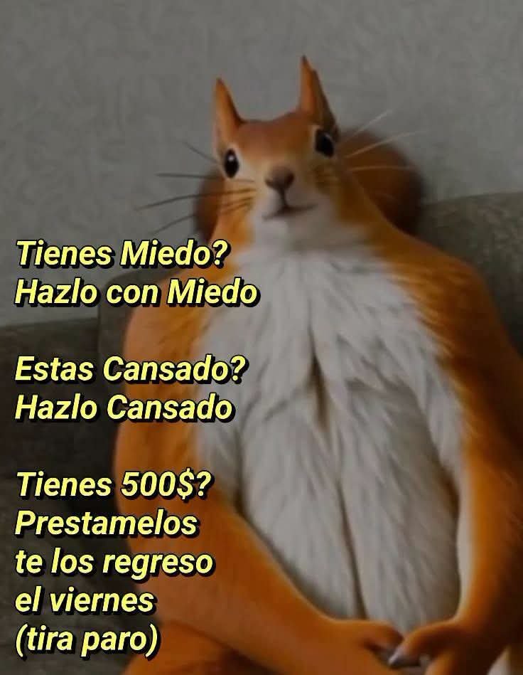 Animalesaprieto's tweet photo. https://t.co/HQP7zFOuRC