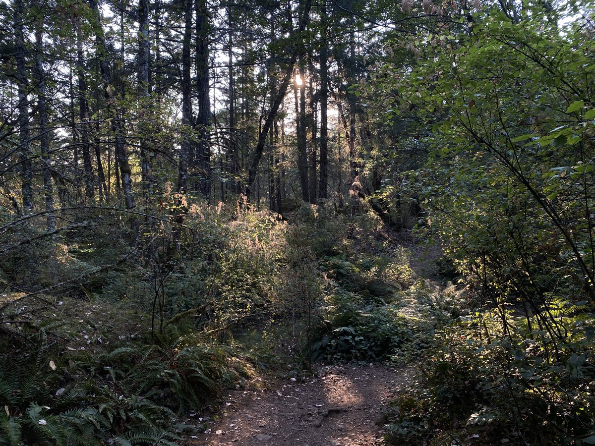treesposting's tweet photo. https://t.co/tKcmsiuyJT