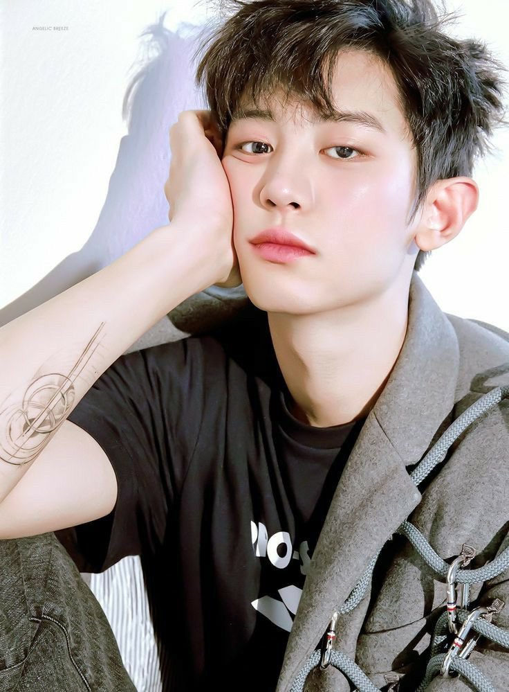 cosmicraccoon06's tweet photo. 박찬열 https://t.co/DnDQBOIq8J