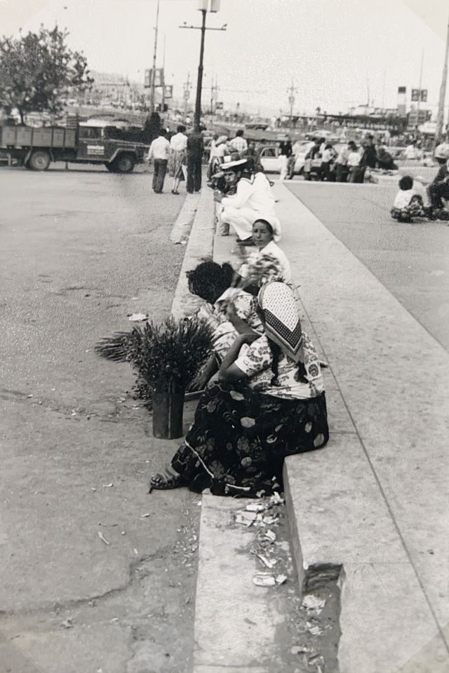 HuseyinCanerik's tweet photo. İSTANBUL VE BATI TÜRKİYE (TEMMUZ 1979) GEZİ NOTLARI: ALEXA GADE YAZDI
https://t.co/6X9nG7IROF
#Tunceli #Pülümür #PülümürHaber #AlexaGade #PülümürKaragöz #Erzincan #HaremOtel #Frankfurt #Margburg #Elazığ #Malatya #İskenderun #Yalova #Karasu #Antalya https://t.co/ifdl78aFIN