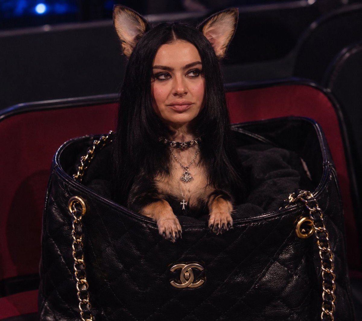 TLOASXTTPD's tweet photo. @dua__lipton Хачарли уже побежала писать в бутылки https://t.co/9Bi7mquFbx