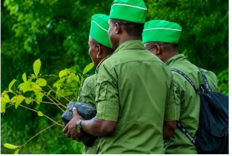 KodjoAliPros's tweet photo. #Togo s’est doté de brigades mobiles de surveillance environnementale et forestière, créées par arrêté ministériel en date du 1er octobre 2026.
#Togo #Environnement #EauxEtForêts #ProtectionDeLEnvironnement #DéveloppementDurable https://t.co/j5LPfLReld