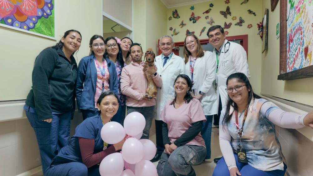 PortalViRegion's tweet photo. Perro salchicha tendencia en redes visita a pacientes oncológicos del HFRZ: * Papi Roy, conocido en redes sociales por sus aventuras diarias y viajes entre México y Chile, llegó hasta la Unidad de… dlvr.it/TVlc5F #PerroSalchicha #CancerDeMama #Oncología #PapiRoy #Solidaridad https://t.co/rlcK5S3BaB