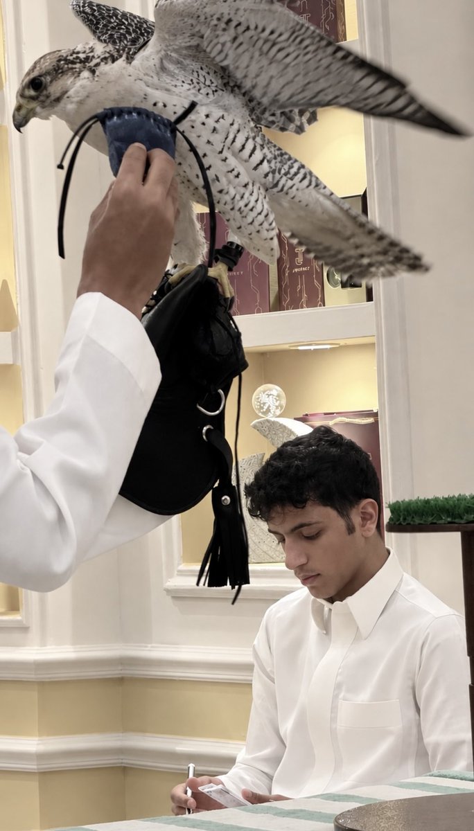 saif_al30's tweet photo. 🤎🤎🤎🤎🤎– https://t.co/W59m3M3IbR