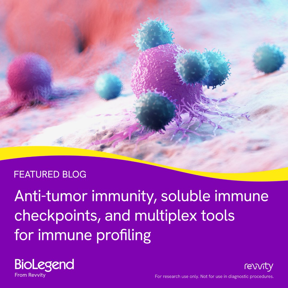 BioLegend's tweet photo. Understanding the cytokine response in a tumor microenvironment is vital to developing successful immunotherapies. Learn how our LEGENDplex™ panels can enable researchers to detect immune checkpoints and measure anti-tumor responses. https://t.co/E7POnMMo8u https://t.co/AI4Jof1Vy8