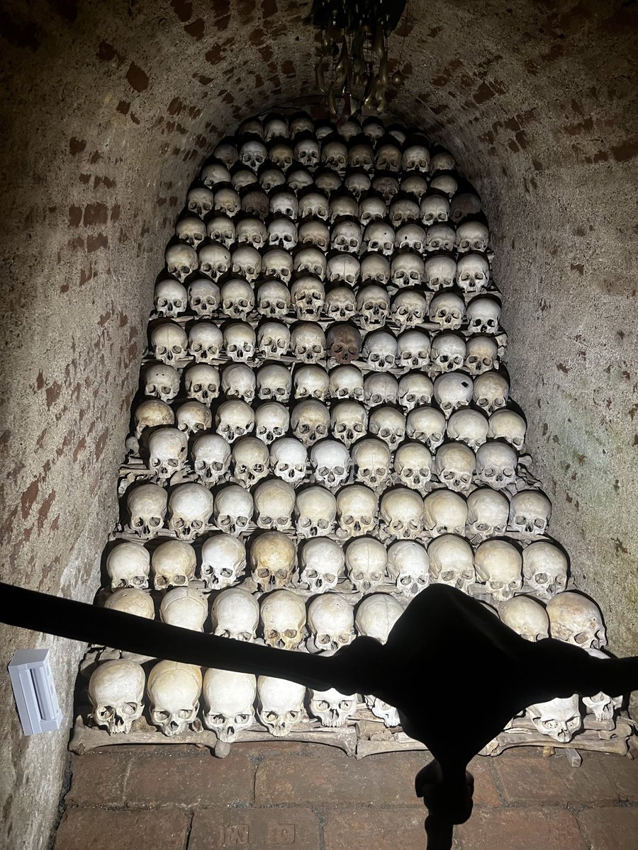 buddhashaq69's tweet photo. brněnské aktivity so far: 
- kurz vyšívání (vsichni krome me byli 45+)
-předvolební debata (vsichni krome me byli uplne debilni) 
-návštěva kostnice (vsichni krome me byli mrtvi) https://t.co/ToOtgCEO5v
