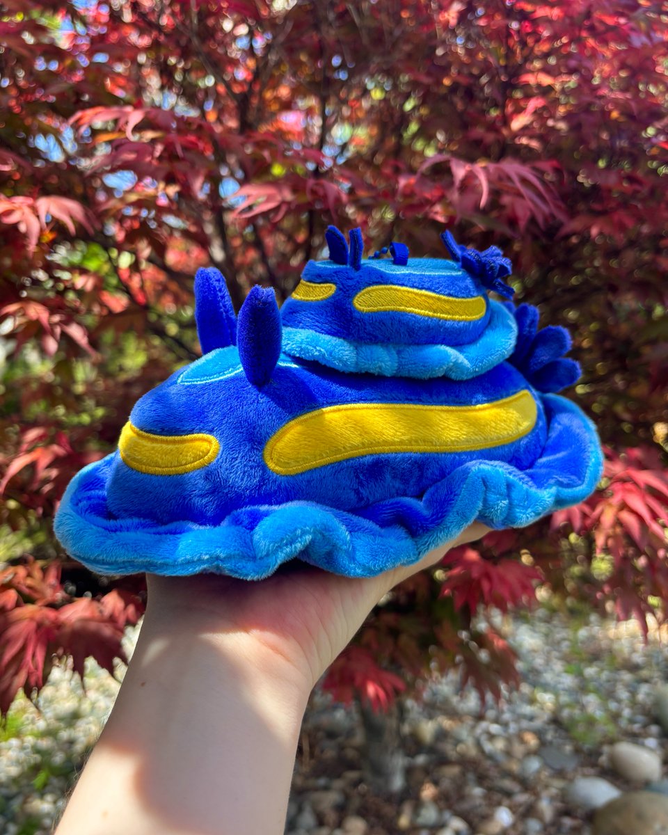 fossilforager's tweet photo. The sea slug plushies I designed are now available for new homes! Available in a tiny and medium size plush :) https://t.co/rKwnJkNWWt