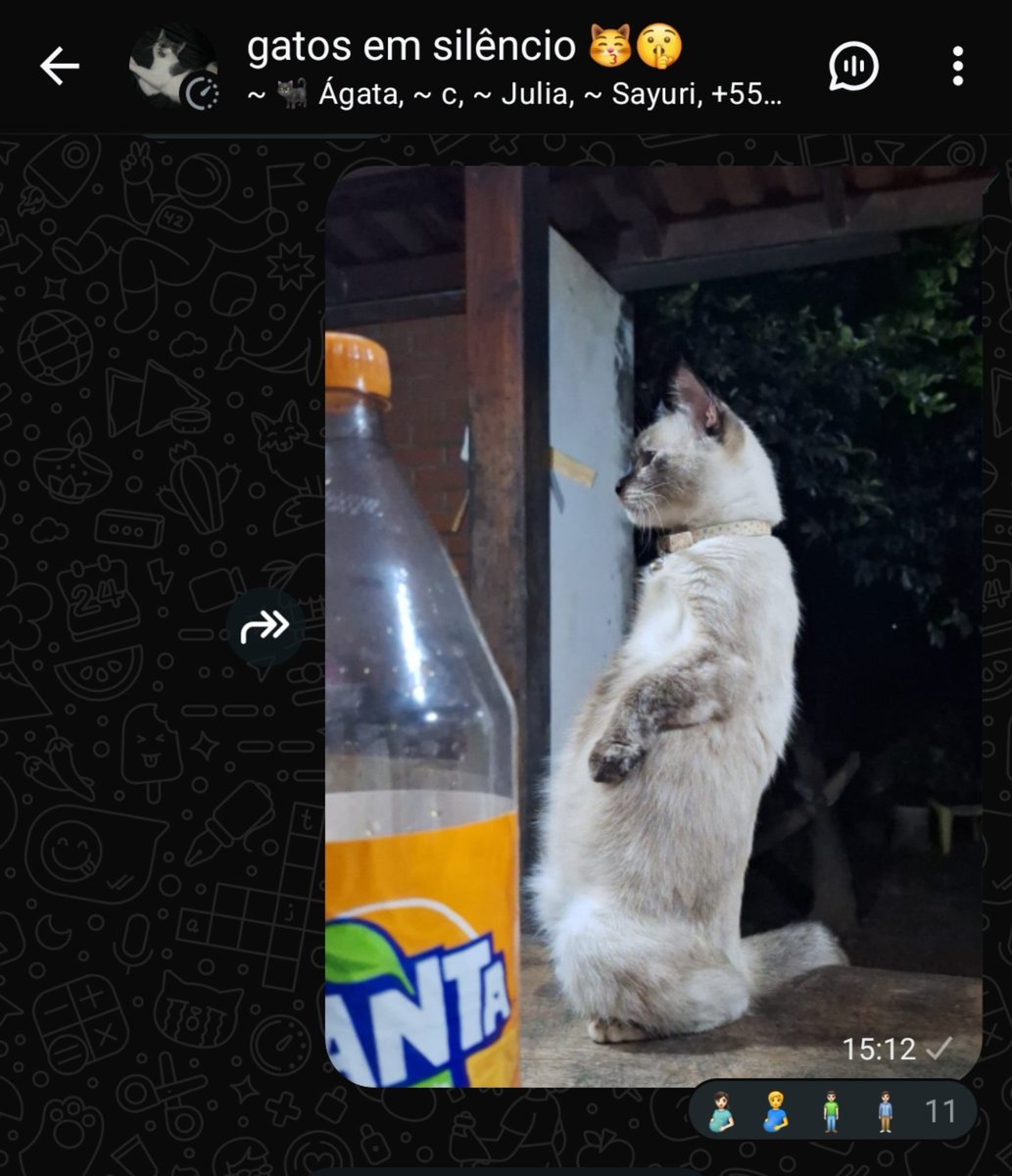 plimplimxarope's tweet photo. compartilhei o lendário tripé https://t.co/Diyr31mrDg