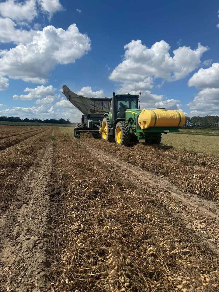 PrecAgEngineer's tweet photo. Great day picking peanuts in our #precisionag studies in South Alabama yesterday. It was also exciting to work with Kelley Manufacturing Co. (KMC) &amp; test their newest yield monitor (PodPro). Pretty good results so far, look forward to more evaluation this harvest! @AU_PrecisionAg https://t.co/4vaw7QN6G6