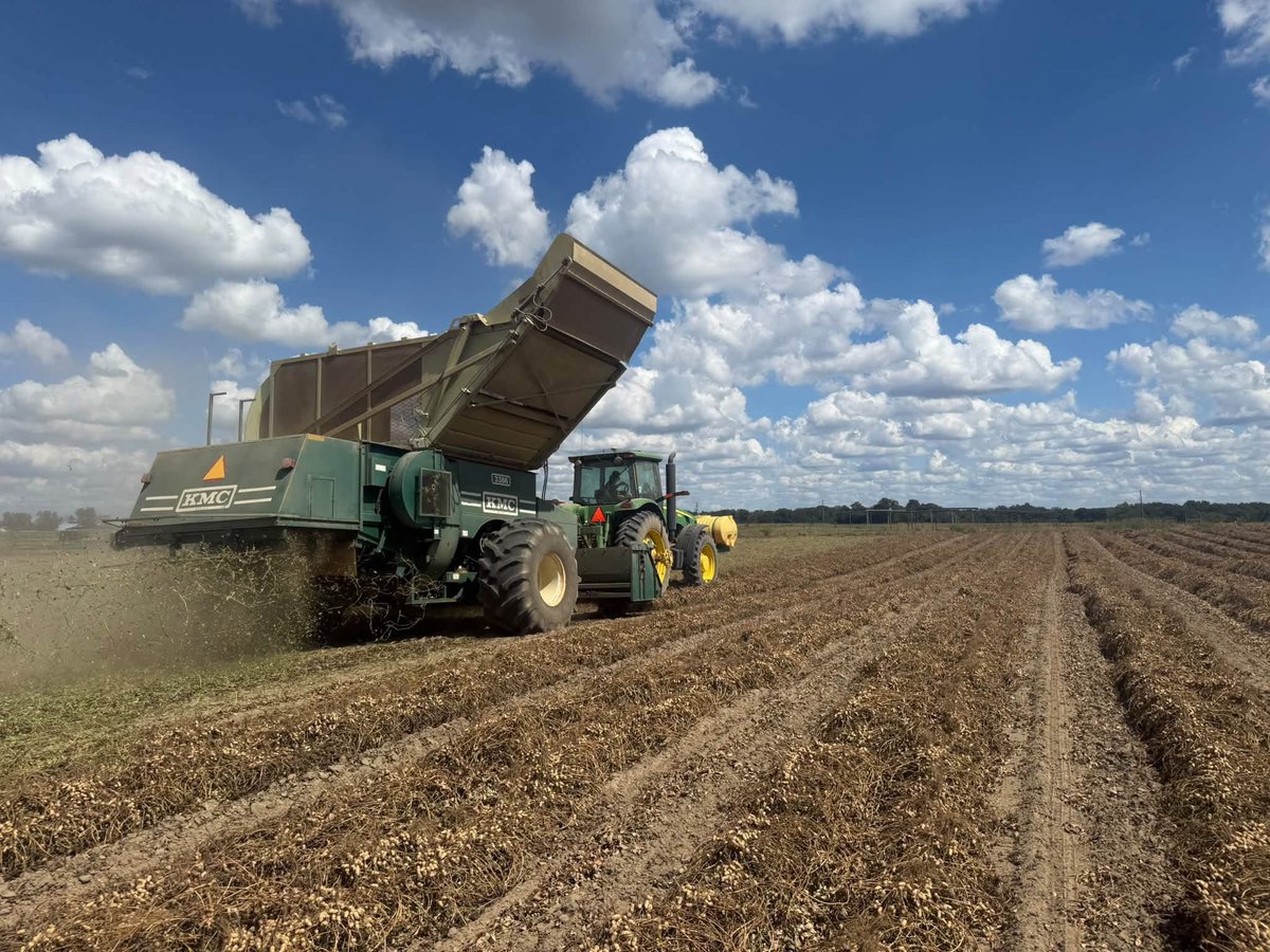 PrecAgEngineer's tweet photo. Great day picking peanuts in our #precisionag studies in South Alabama yesterday. It was also exciting to work with Kelley Manufacturing Co. (KMC) &amp; test their newest yield monitor (PodPro). Pretty good results so far, look forward to more evaluation this harvest! @AU_PrecisionAg https://t.co/4vaw7QN6G6