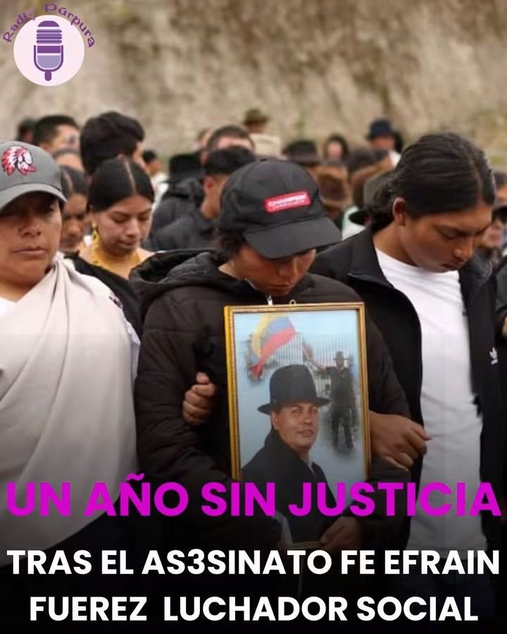 MITUKOSAKATUKK's tweet photo. reimverga HP ya que estás tan " veneno capturando delicuentes".
Para cuándo los chapas y gorilas criminales del comunero de Otavalo, ministrucho cabeza de grosella hocico de babucha corrupto MMVG HTP RCPTM. https://t.co/Rsic9QZGEP
