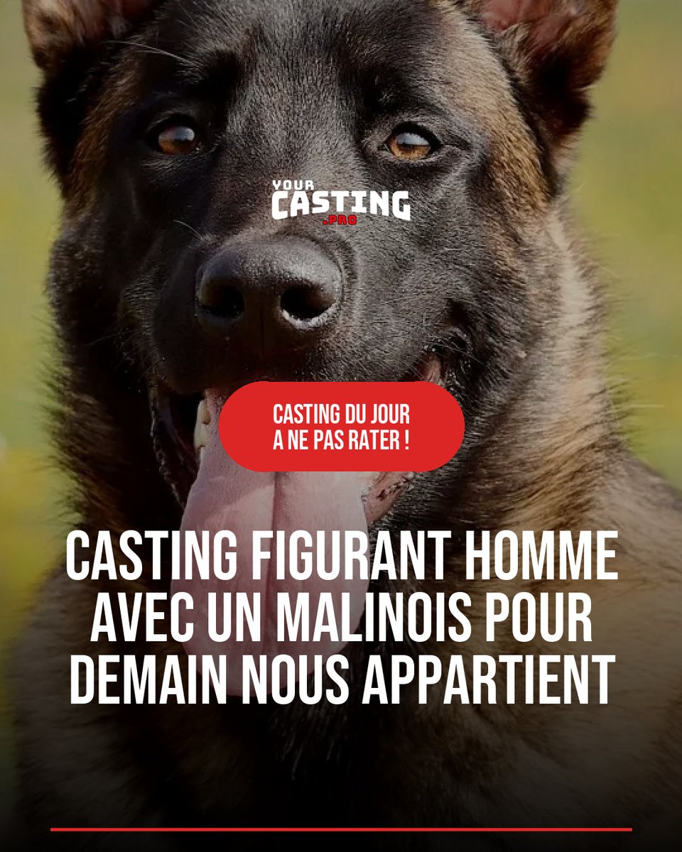 yourcastingpro tweet picture