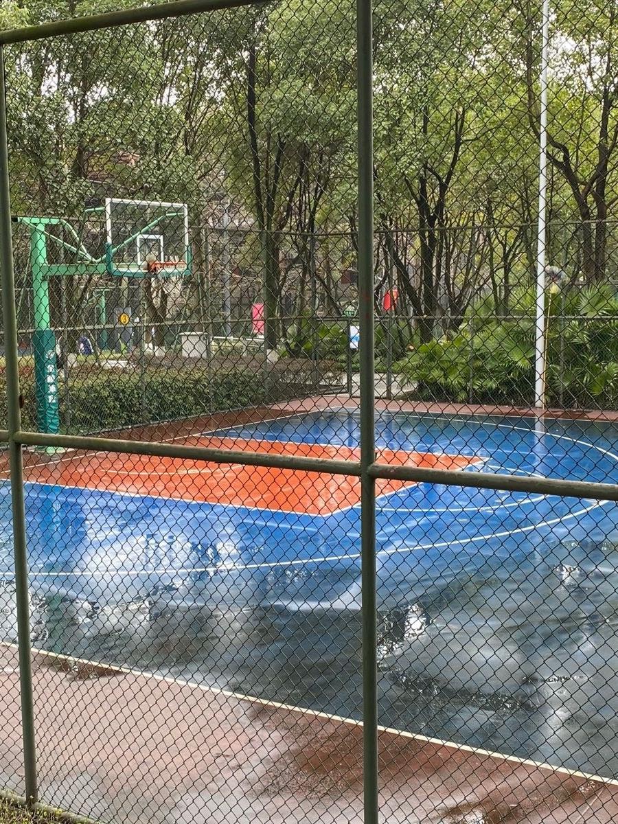 GraceGerrayt's tweet photo. Hoy jugamos a buscar tesoros en el parque! Busca 5 piedras con colores brillantes y dibuja con ellas una figura en el suelo. Diversión para nios y padres!， https://t.co/bsG1ztoP2m