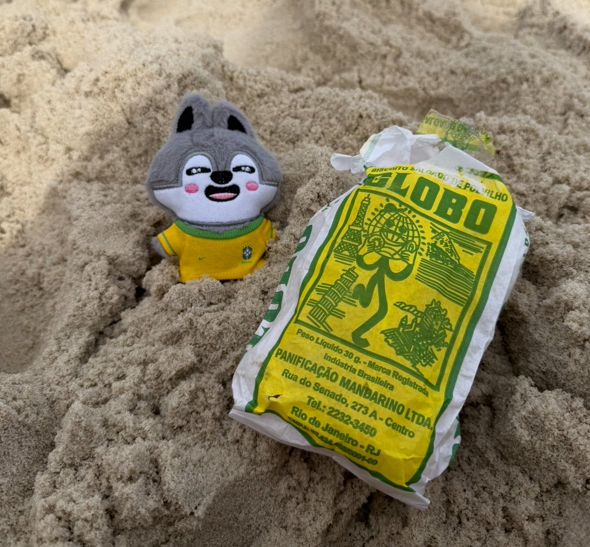 clarabhang's tweet photo. já q o chan ama o mar aqui vai o wolfchan brasileiro c seu biscoito globo na praia!! 💚 

#HappyBangChanDay
#스테이의_영원한_자부심_방찬
#BangChanEmpireOfTalent
#StrayKids #스트레이키즈
#방찬 #BangChan https://t.co/cJE0rsv31p